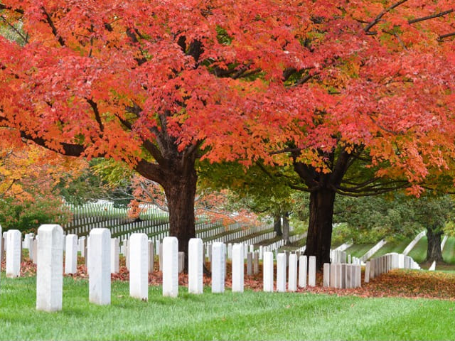 Parziale modifica dell'ordinanza di apertura straordinaria del Cimitero